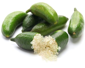 California only!! Australian Finger Lime Tree, 24-36 inches tall grafted semi-dwarf plant.