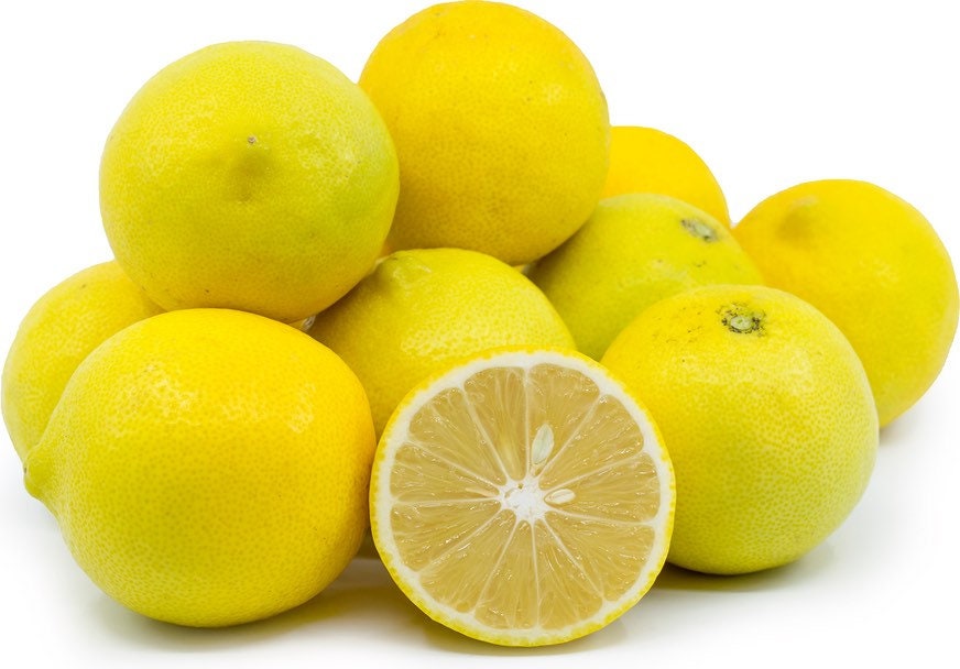 California only!! Palestine Sweet Semi-Dwarf Lime tree, 24-36" tall, grafted