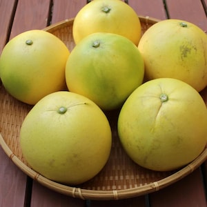 May include: A woven basket filled with six yellow pomelos, a type of citrus fruit.