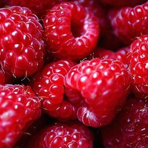 May include: A cluster of fresh, vibrant red raspberries, each featuring a textured, bumpy surface and tiny, fine hairs. The berries are tightly packed together, showcasing their deep crimson color and rounded, hollow-centered structure.