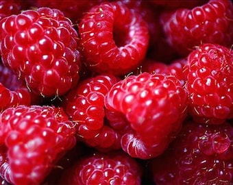 May include: A cluster of fresh, vibrant red raspberries, each featuring a textured, bumpy surface and tiny, fine hairs. The berries are tightly packed together, showcasing their deep crimson color and rounded, hollow-centered structure.