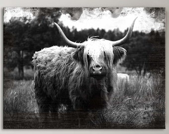 Highland Cow Canvas | Cow Decor Animal Portrait Art | Cattle Ranch Wall Decor | Ranch Sign Cow Wall Art | Farm Sign | Farm Wall Decor