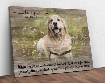 Pet Loss Gifts, Dog Memorial Gift, Personalized Pet Memorial Frame, Dog Loss Gift, Pet Bereavement Gift, Pet Sympathy Gift, Pet Loss Frame