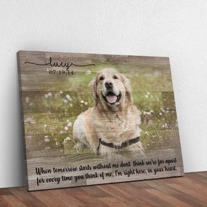 Pet Loss Gifts, Dog Memorial Gift, Personalized Pet Memorial Frame, Dog Loss Gift, Pet Bereavement Gift, Pet Sympathy Gift, Pet Loss Frame