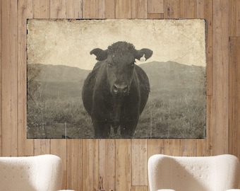 Angus Cattle Wall Art | Black Angus Cow Pictures | Portrait Art Ranch Wall Decor | Farm Wall Decor | Country Gifts Ranch Sign | Farm Sign