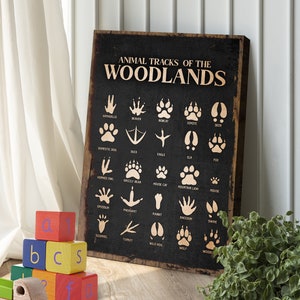 Animal Tracks Sign | Woodland Nursery Decor | 1st Birthday Gift Bedroom Wall Decor | Woodland Animals New Baby Gift | Nursery Wall Art