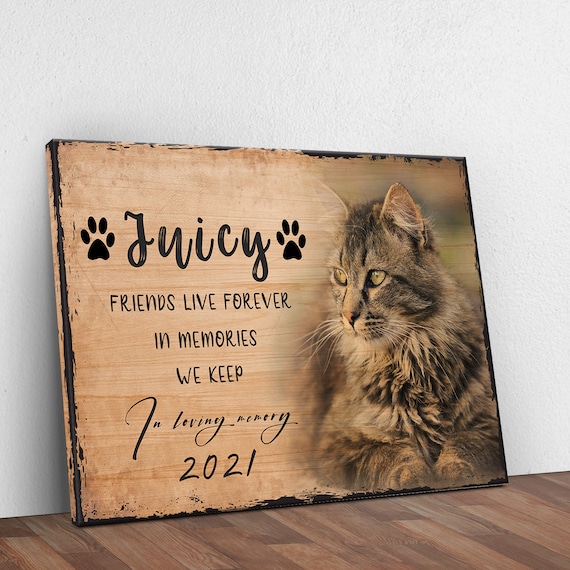 Premium Photo  Christmas gifts with persian cats, vintage filter image