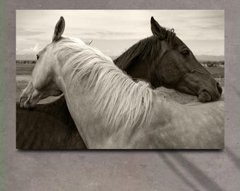 Cuadro de pared monocromático con pareja de caballos / Cuadro de pared con caballos / Lámina de caballos en blanco y negro / Regalos para amantes de los caballos / Decoración de pared para sala de estar