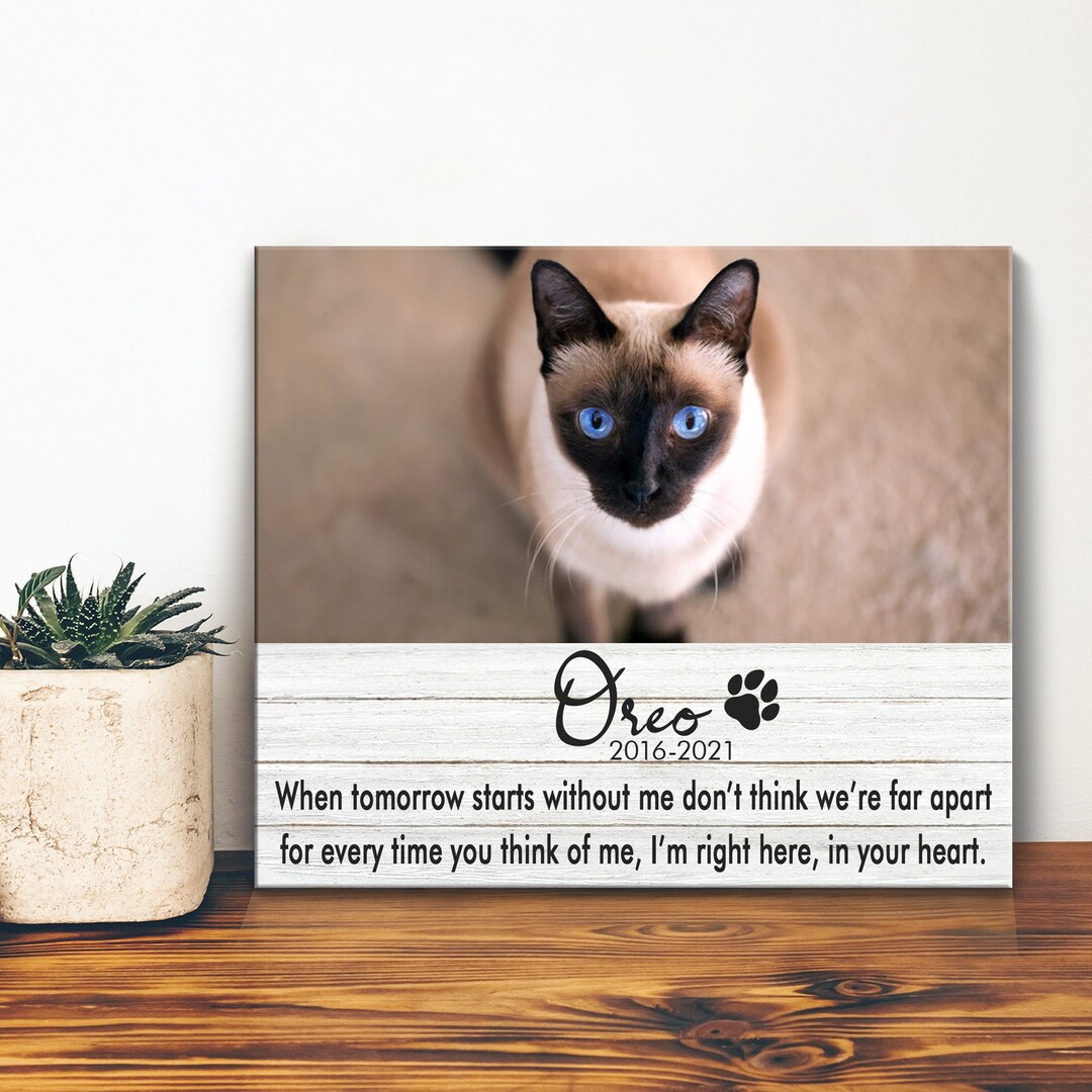 Cat Memorial Canvas Cat Remembrance Memory Frame Wall Decor in Loving ...