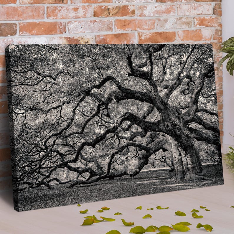Monochrome Angel Oak Tree Canvas Wall Art | Black and White Tree Canvas ...