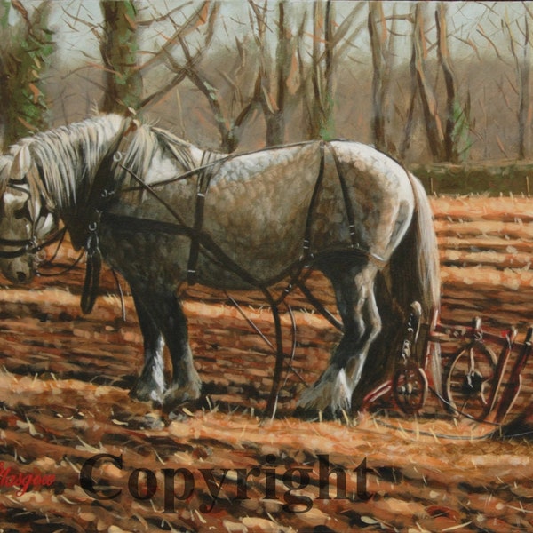 Horse Plough Canvas Wall Art Print by Irish artist Keith Glasgow