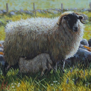 Blackface Sheep Lambs Art Print Gift Merchandise Irish artist Keith Glasgow