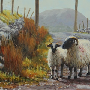 Blackface Sheep Lambs Slemish Canvas Wall Art Print by Irish artist Keith Glasgow