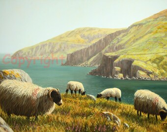 Antrim Coast Blackface Sheep Ireland Canvas Picture Print Artist Keith Glasgow