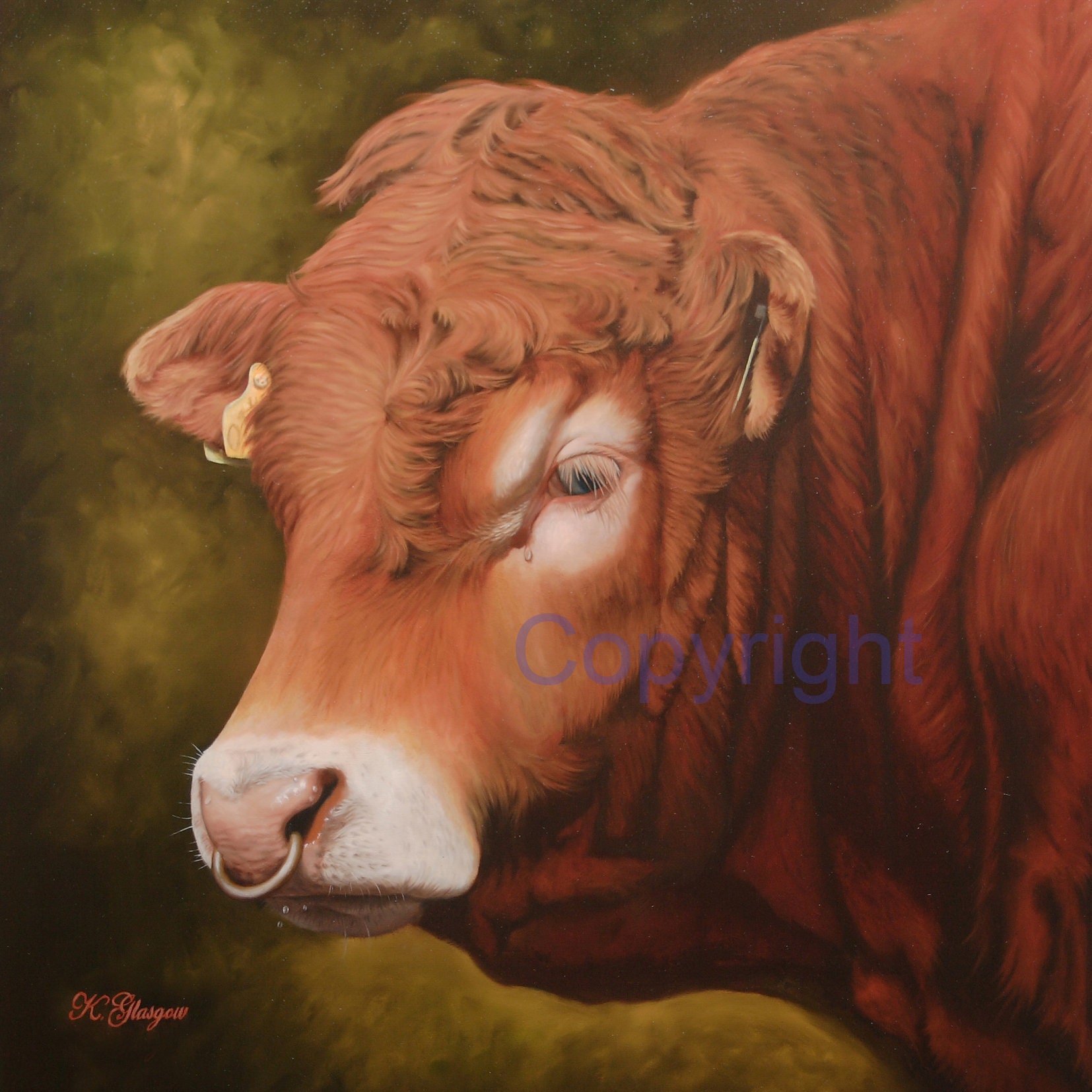 Limousin Bull Head Canvas Picture Print artist Keith Glasgow Etsy