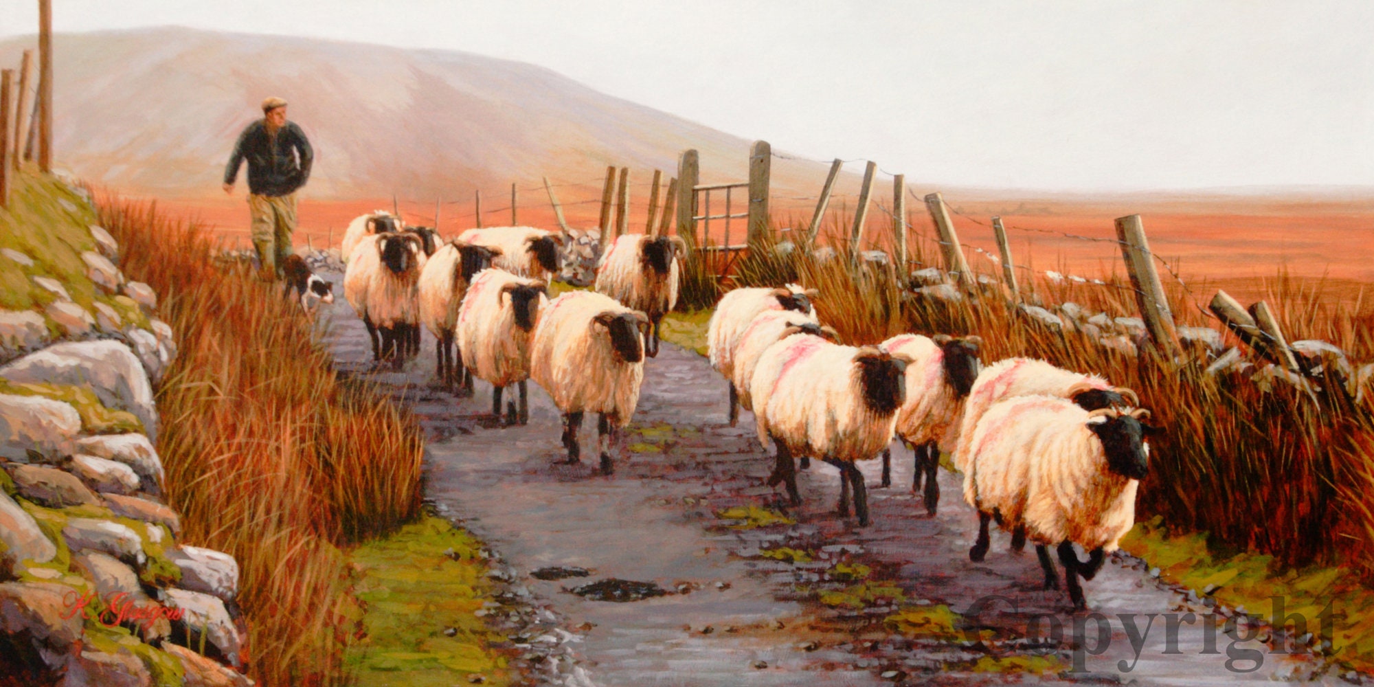 Shepherd Blackface Sheep Canvas Wall Art Print by Irish Artist Keith