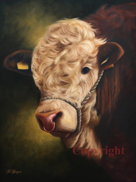 Simmental Bull Farm Cattle Canvas Wall Art Picture Print Etsy