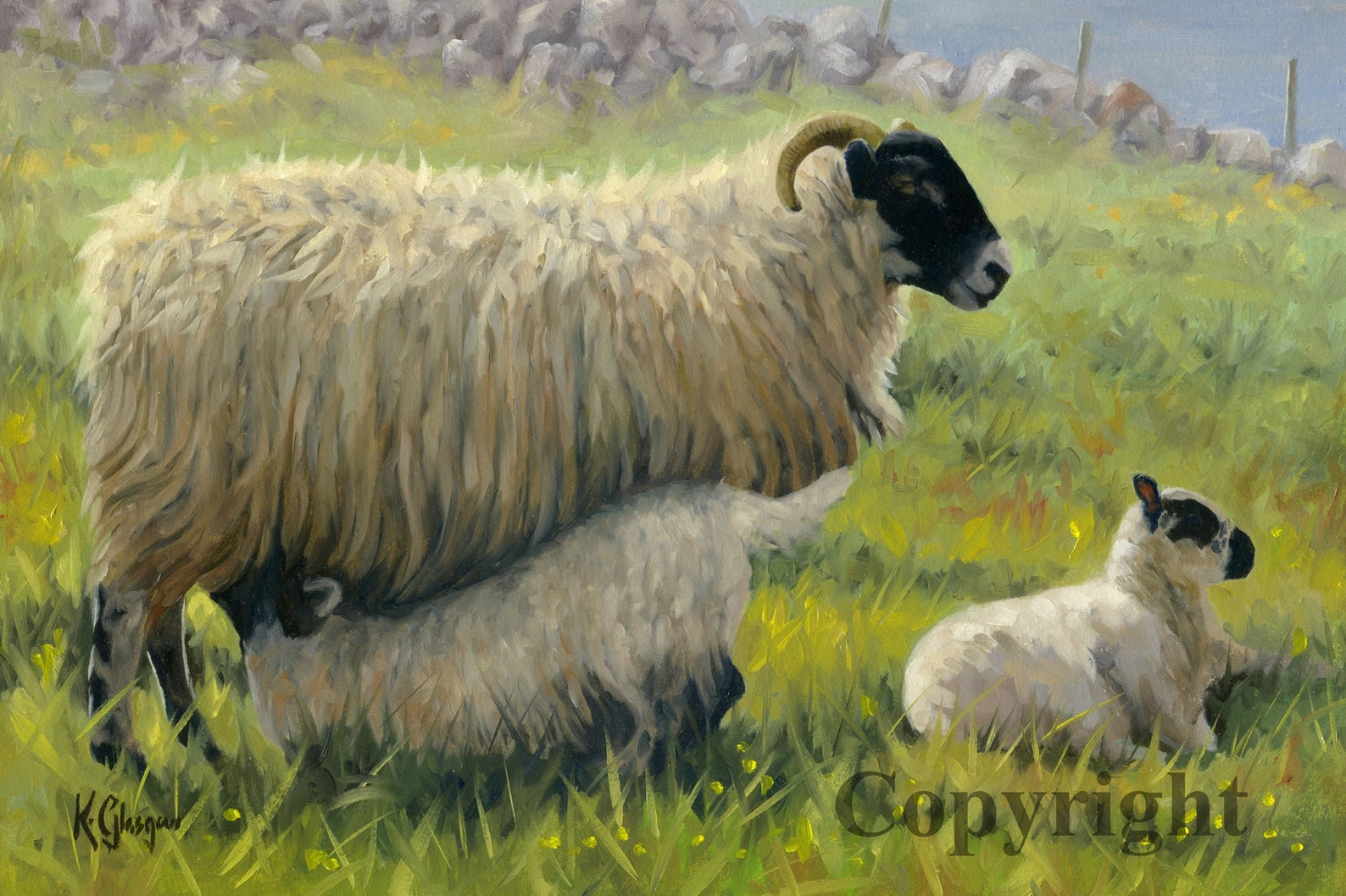 Blackface Sheep Lambs Canvas Wall Art Print par lartiste irlandais ...