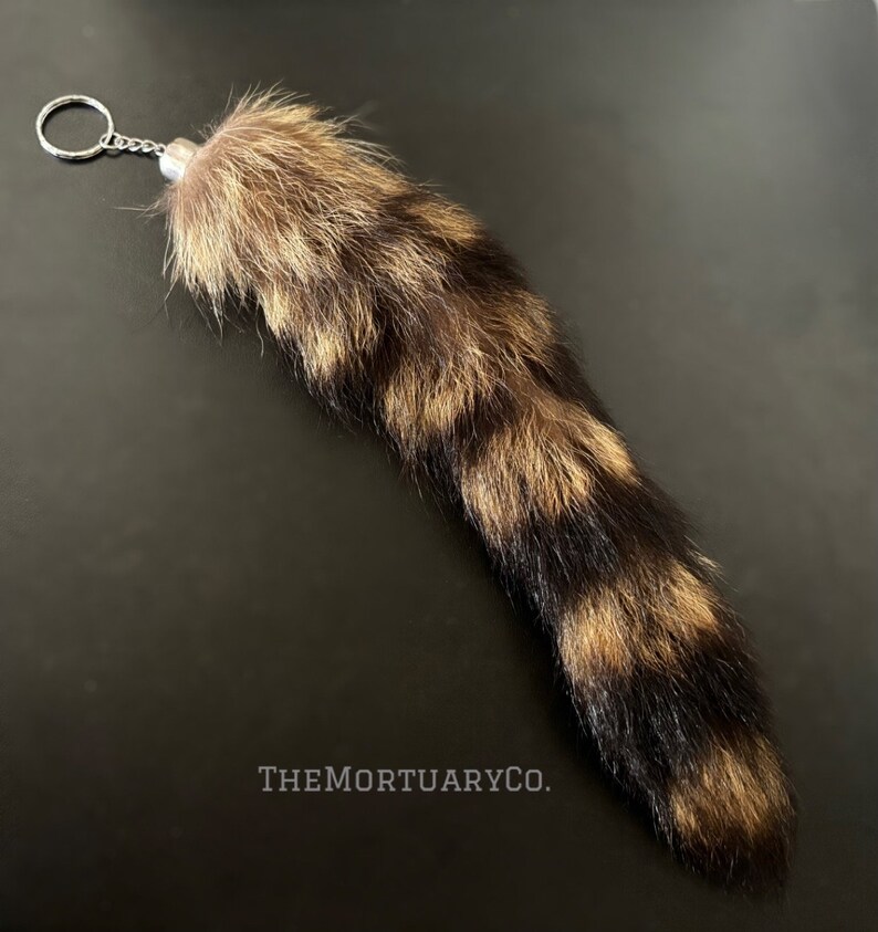 Genuine Raccoon Tail Keychain Etsy