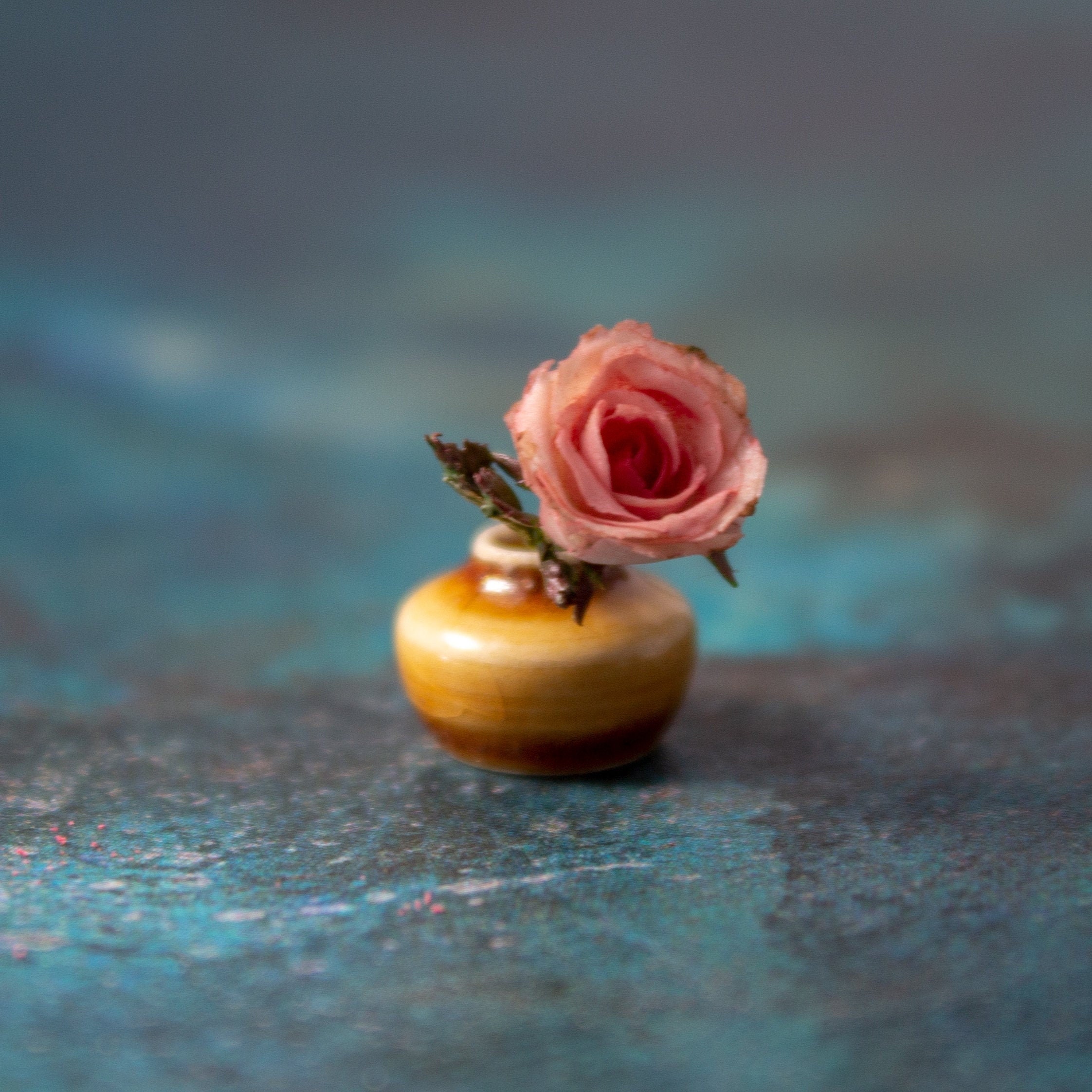 Miniature rose in a ceramic vase for dollhouse decoration Etsy