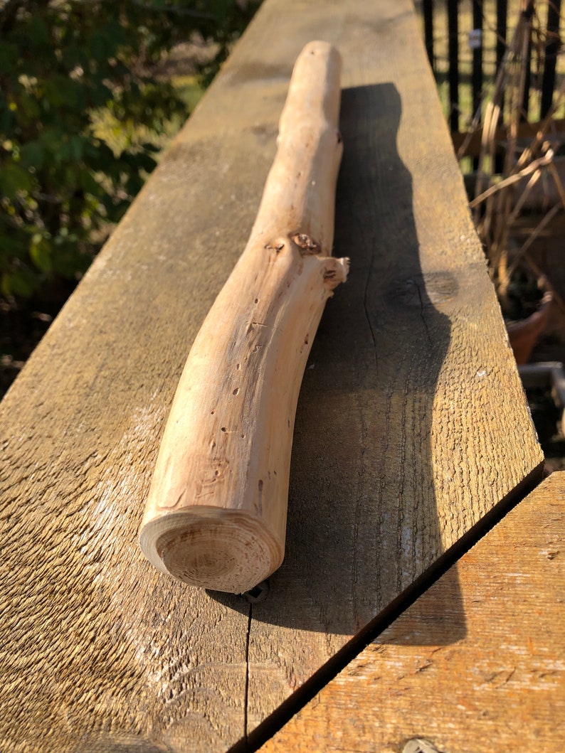 west coast beach wood decor Driftwood for macrame art garden or terrarium projects