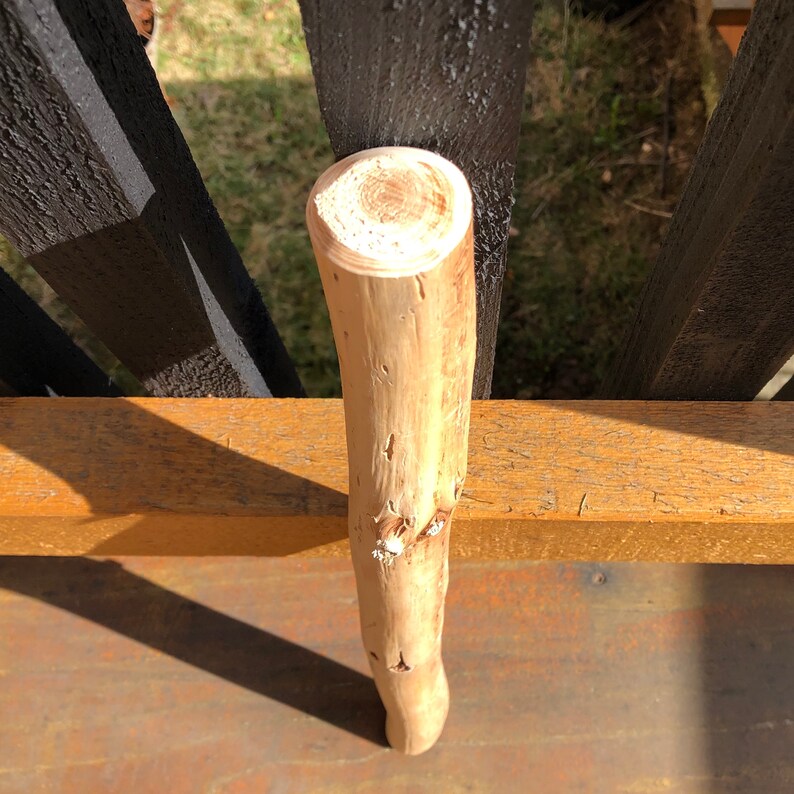 west coast beach wood decor Driftwood for macrame art garden or terrarium projects