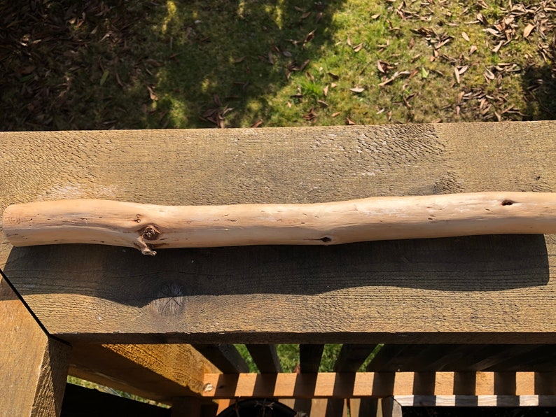 west coast beach wood decor Driftwood for macrame art garden or terrarium projects