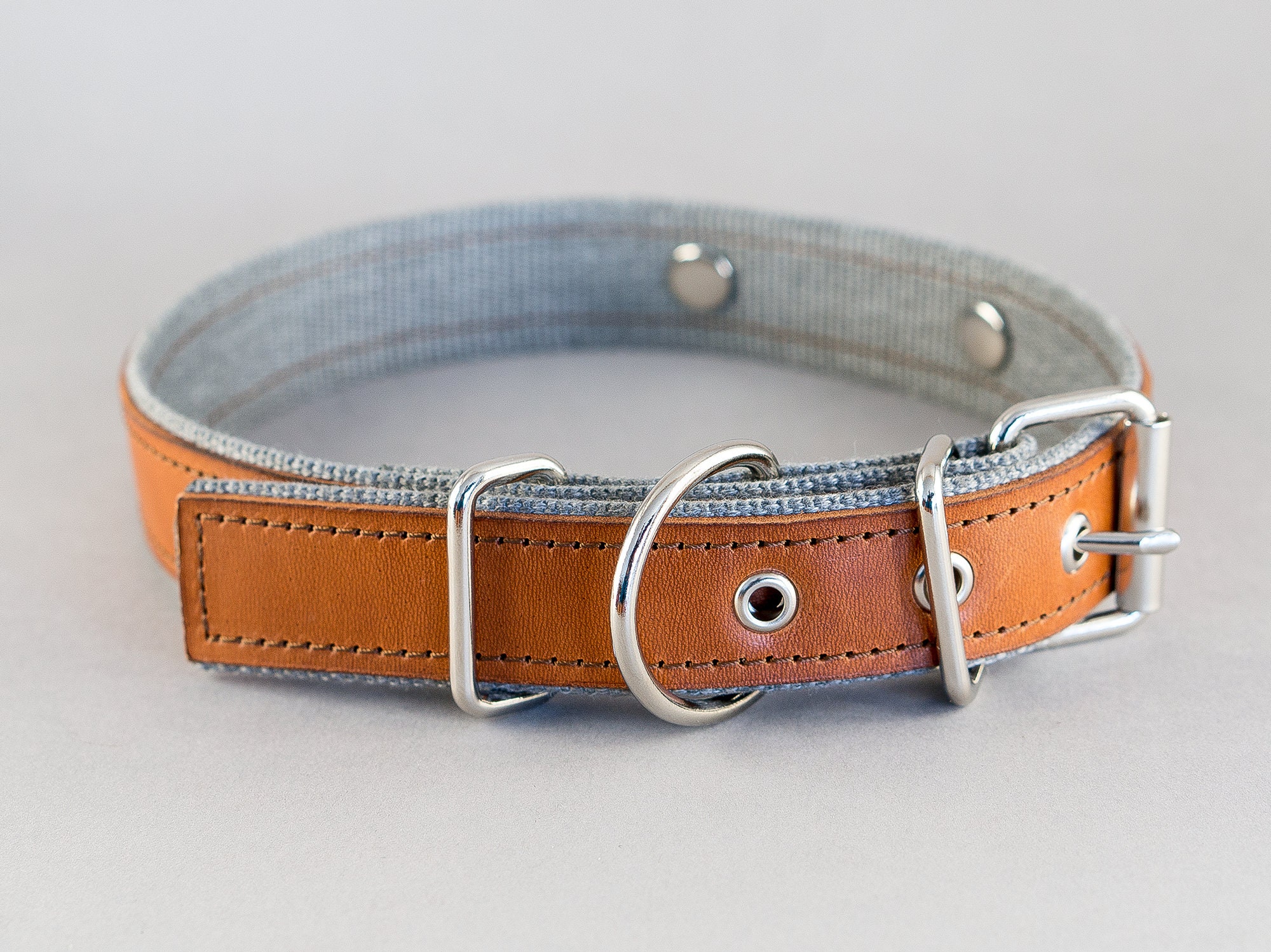 personalized leather dog collars