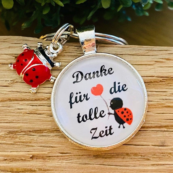 Danke für die tolle Zeit Geschenk Abschied Erzieherin Kita Tagesmutter Kindergarten Cabochon Spruch Schlüsselanhänger Käfer