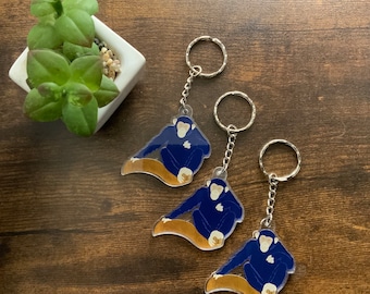 Keychain aap Chimpy
