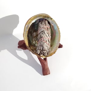 May include: A white sage smudge stick bundled with twine sits in a large abalone shell, resting on a wooden stand.