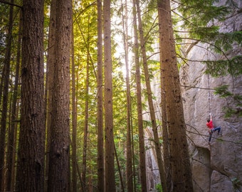 Climber (Jared Nelson) rock climbing (trad) on granite in the forest in Squamish at sunset