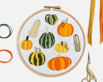 Pumpkin Embroidery Kit Autumn Craft Project