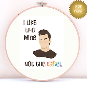 Schitts Creek David Quote Cross Stitch Pattern