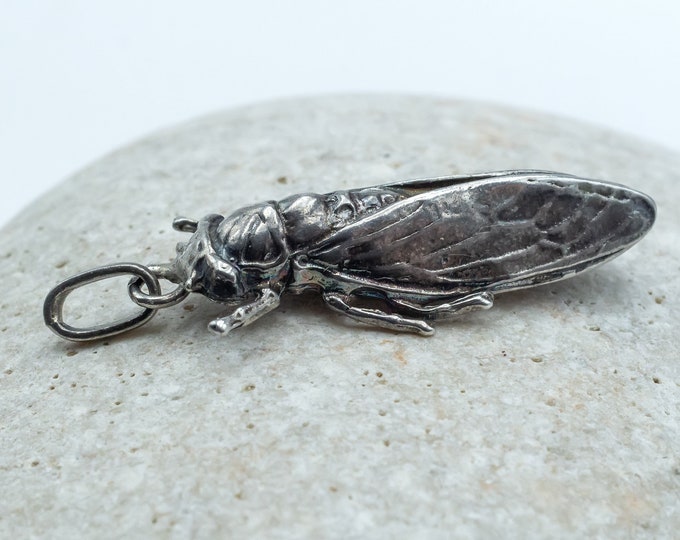 Buy 5 Pcs Antique Silver Large Cicada Pendants Locust Bug