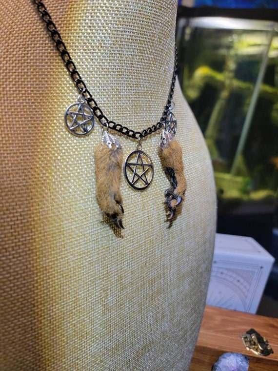 Squirrel Paw and Pentagram Necklace - Etsy