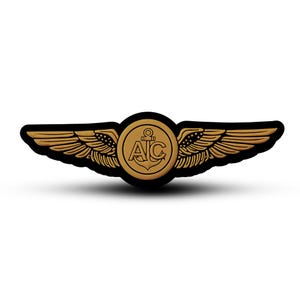 May include: Gold aviator wings with a black circle in the center. The circle has the letters "AIC" and an anchor inside.