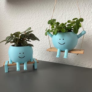 Könnte beinhalten: Zwei blaue, lächelnde Pflanztöpfe mit Pflanzen. Ein Topf befindet sich auf einer Holzschaukel und der andere auf einer Holzbank.