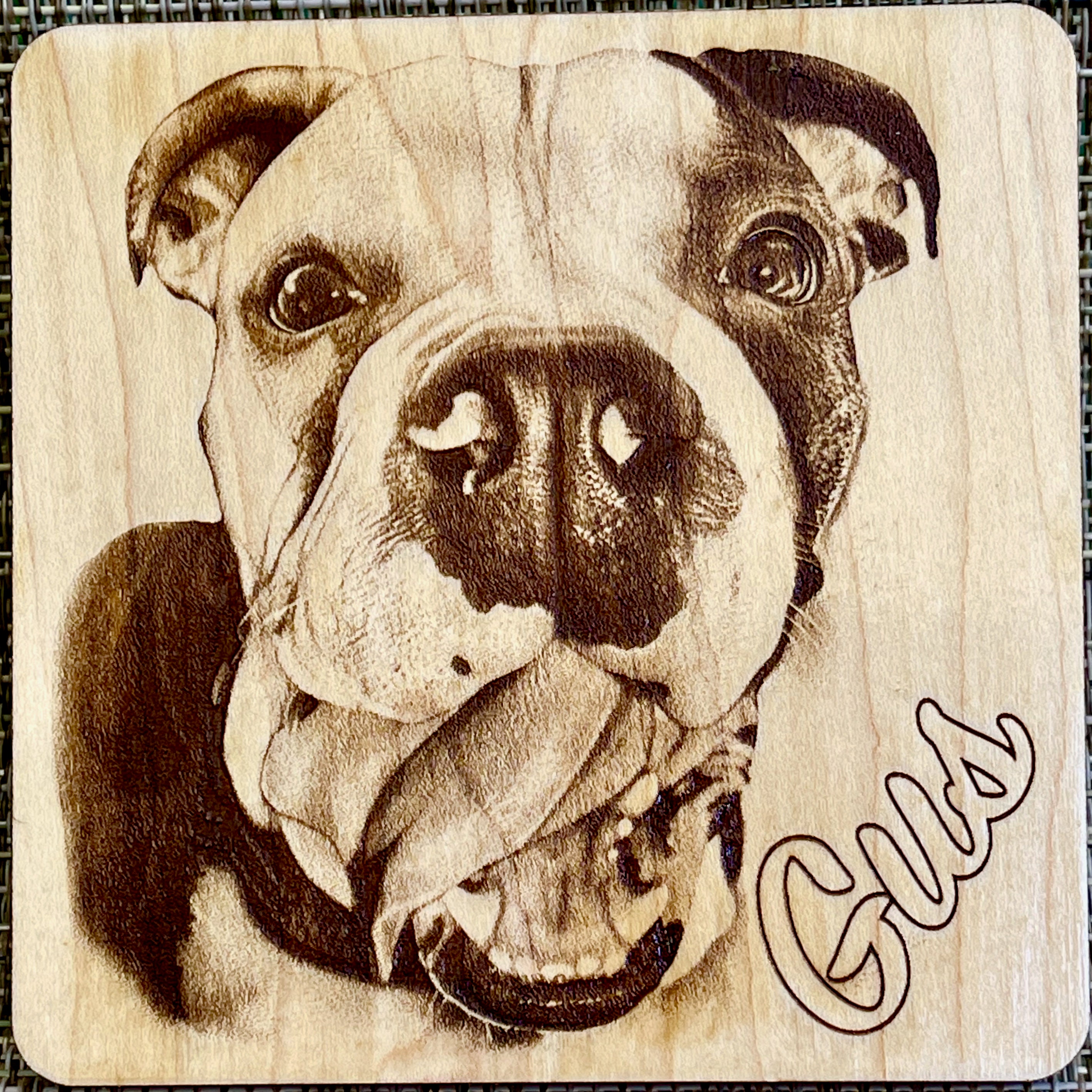 Can Dogs Eat Burnt Wood