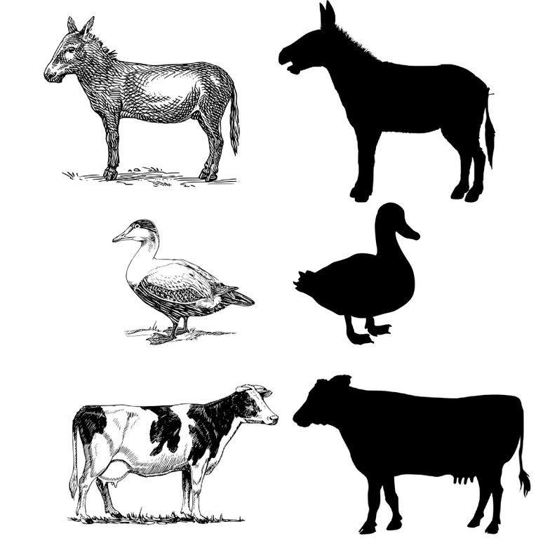 Farm Animals SVG PNG Silhouette - Etsy