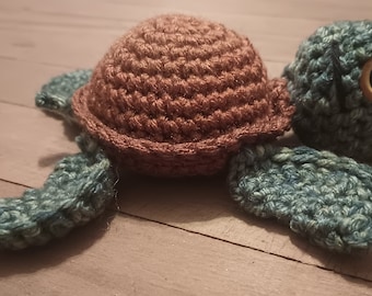 Turtle Toy