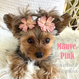 Puppy Dog Pink Flower Hair Bow Clip - Floral Piggie Bows Hair Accessories - Light Pink Flowers Pet Clip on Piggies Accessory