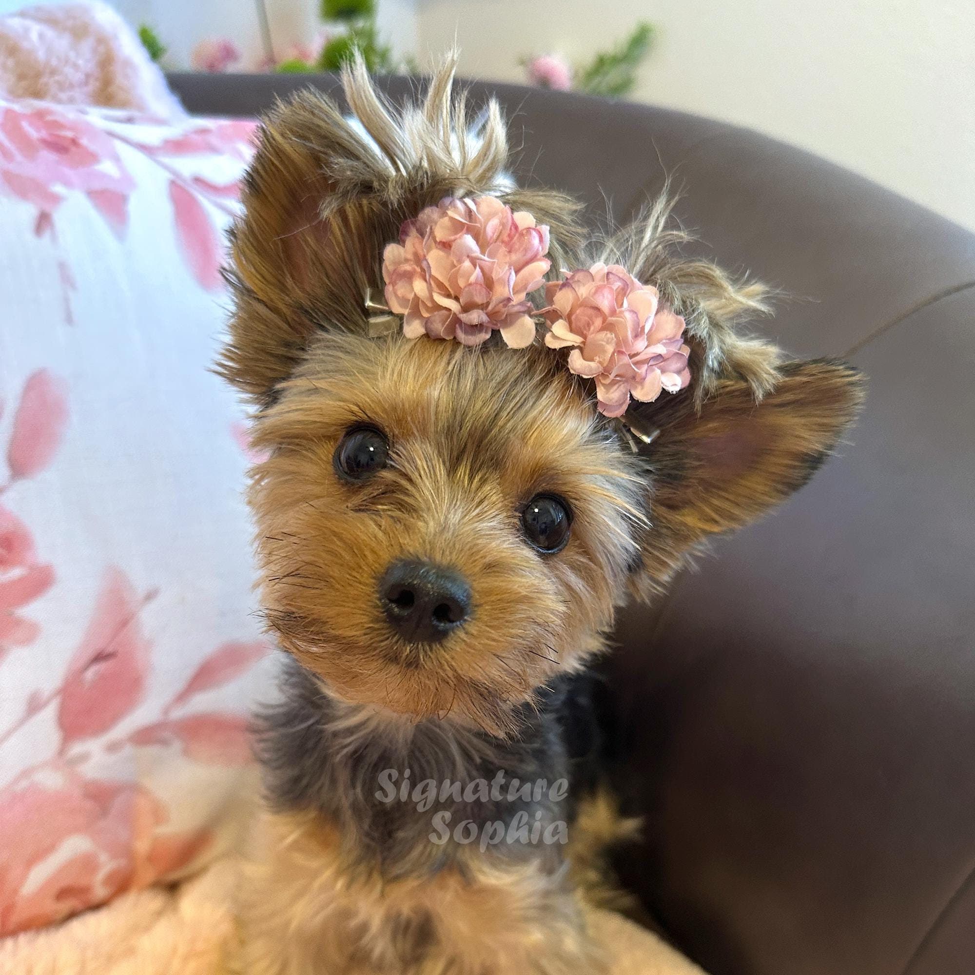 Small Yorkie Stuffed Toy