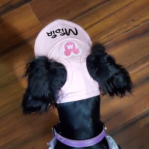 Cat Hat Custom Pet Hat 5 Famous Fonts to Choose From Pet Base Ball Cap Dog Cap with ear holes Dog Hat |
