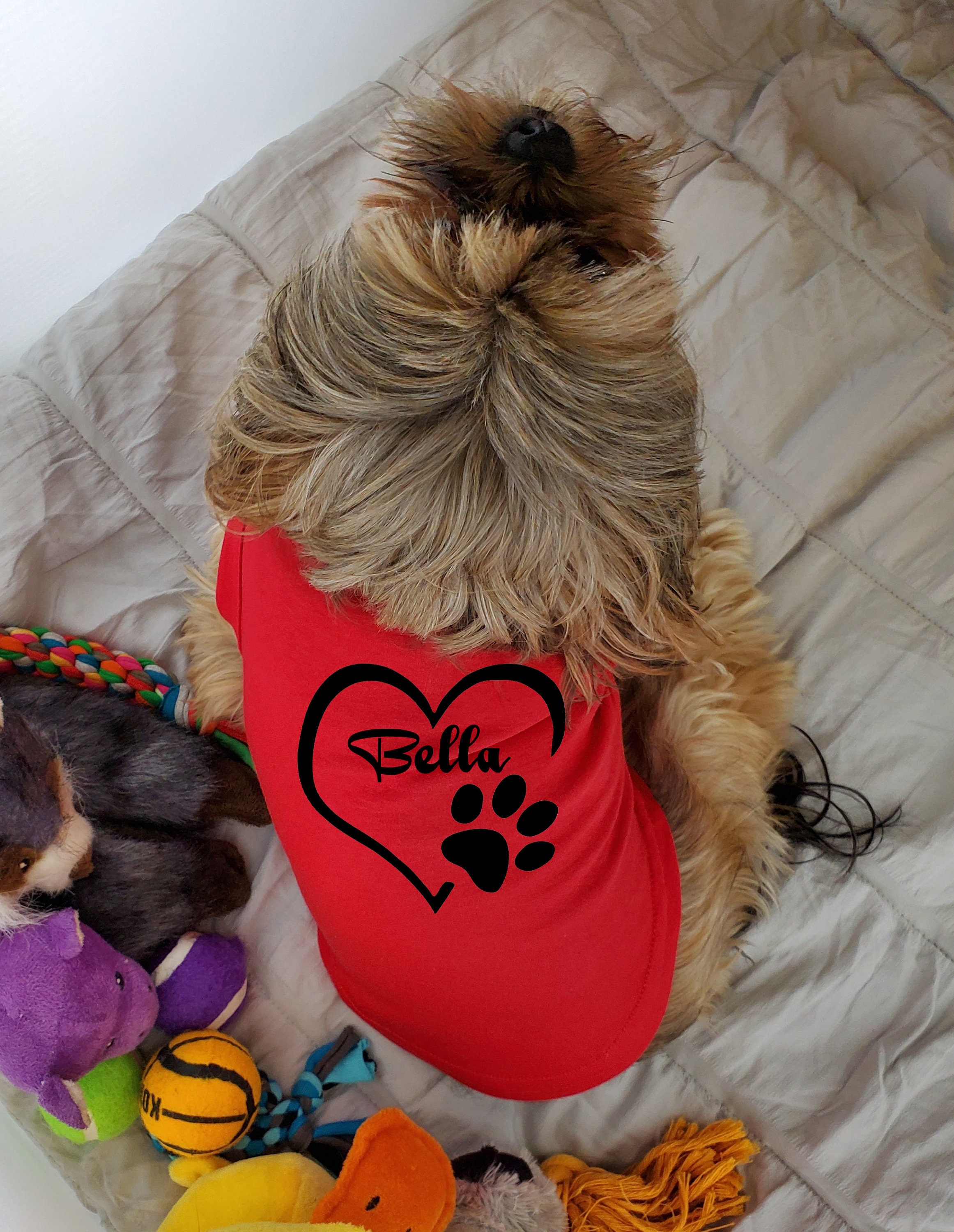 dog clothes for large dogs on My Heart Belongs To You Dog T Shirt Custom Dog Shirt Dog Etsy