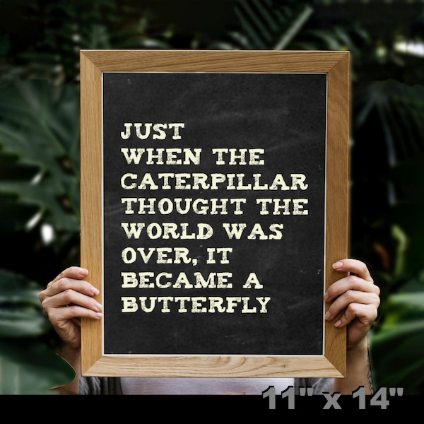Just When the Caterpillar Thought the World Was Over, It Became a ...