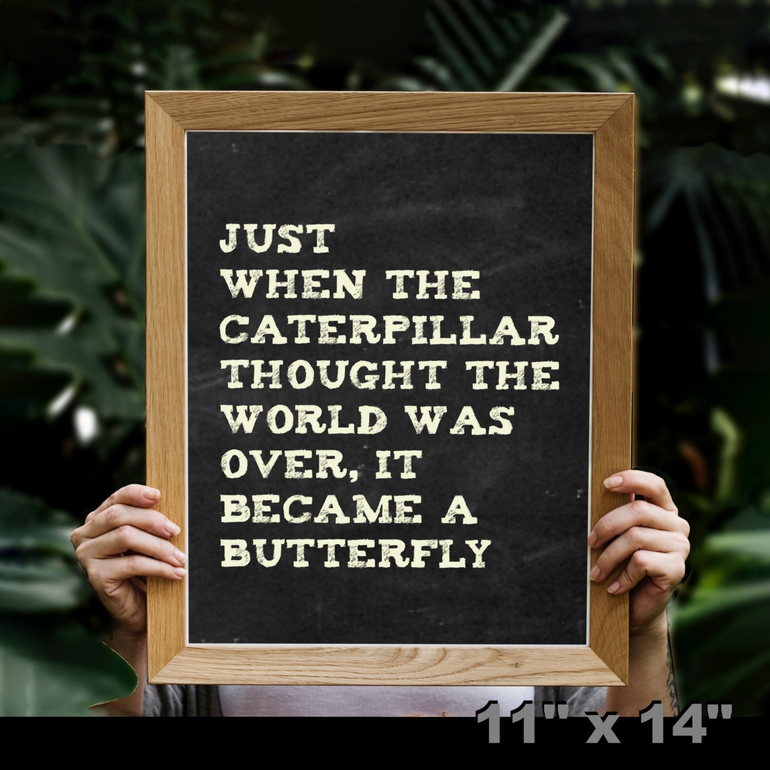 Just When the Caterpillar Thought the World Was Over It Became a ...