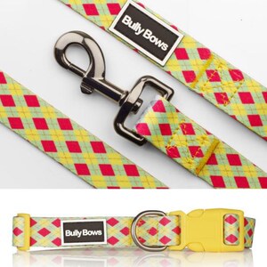Argyle Dog Collar Leash Set | Spring Dog Collar | Adjustable Dog Collar |  Dog Collar Leash | Designer Dog Collar | Red Yellow Green Collar