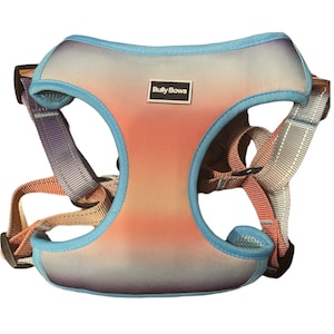 Multi Collar Dog Harness - Padded Dog Vest - Dog Accessories -Reflective Harness - Strong Collar - Trendy Pet Harness - Breathable Mesh