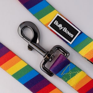Rainbow Dog Leash - Pride Flag Leash - Durable Strong Accessories - Perfect New Dog Gift - Training Lead